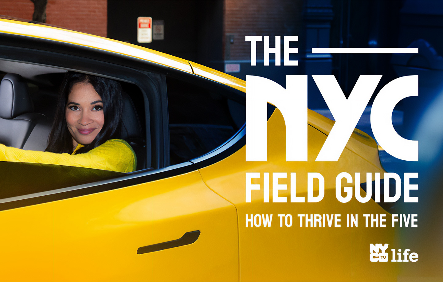 The NYC Field Guide logo image
                                           