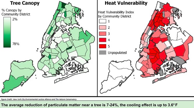 map of heat index and tree canopy index /