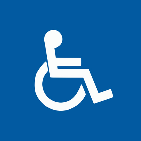 Disability Housing Programs