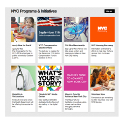 nyc.gov new programs section