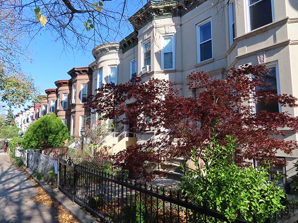 A block view of the East 25th Street Historic District is a remarkably cohesive and intact group of 56 Renaissance Revival style row houses