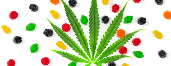 Cannabis leaf surrounded by gummy candy