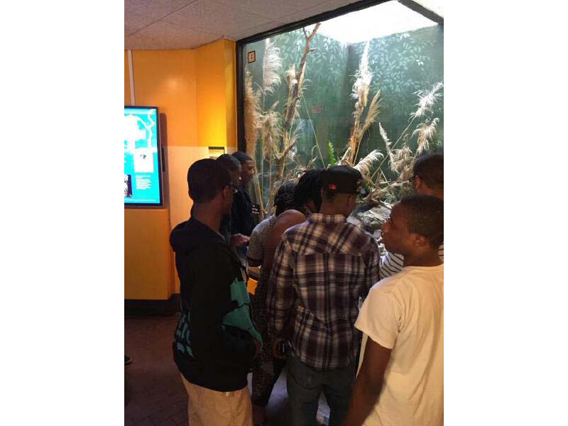 NSP youth visit the panda exhibit at the National Smithsonian Zoo
