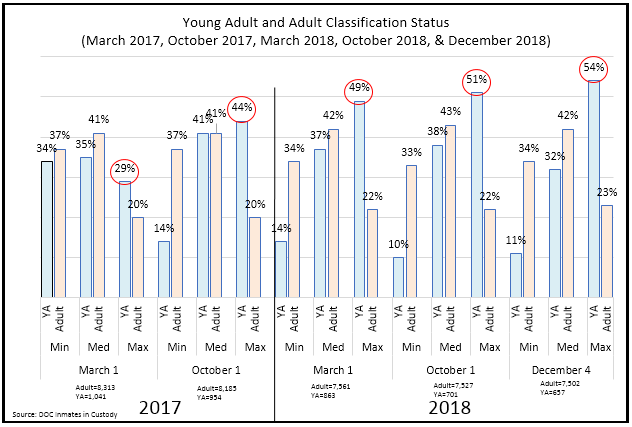 Young Adult and Adult Classification Status March 2017 to December 2018
