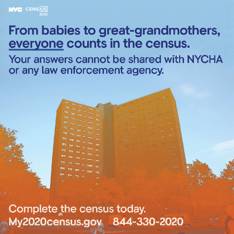 From babies to great-grandmothers, everyone counts in the census