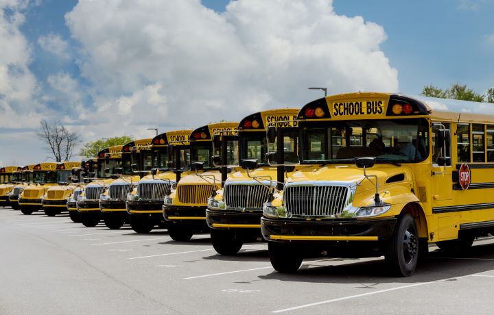 Yellow school buses lined up outside on a sunny day.
                                           