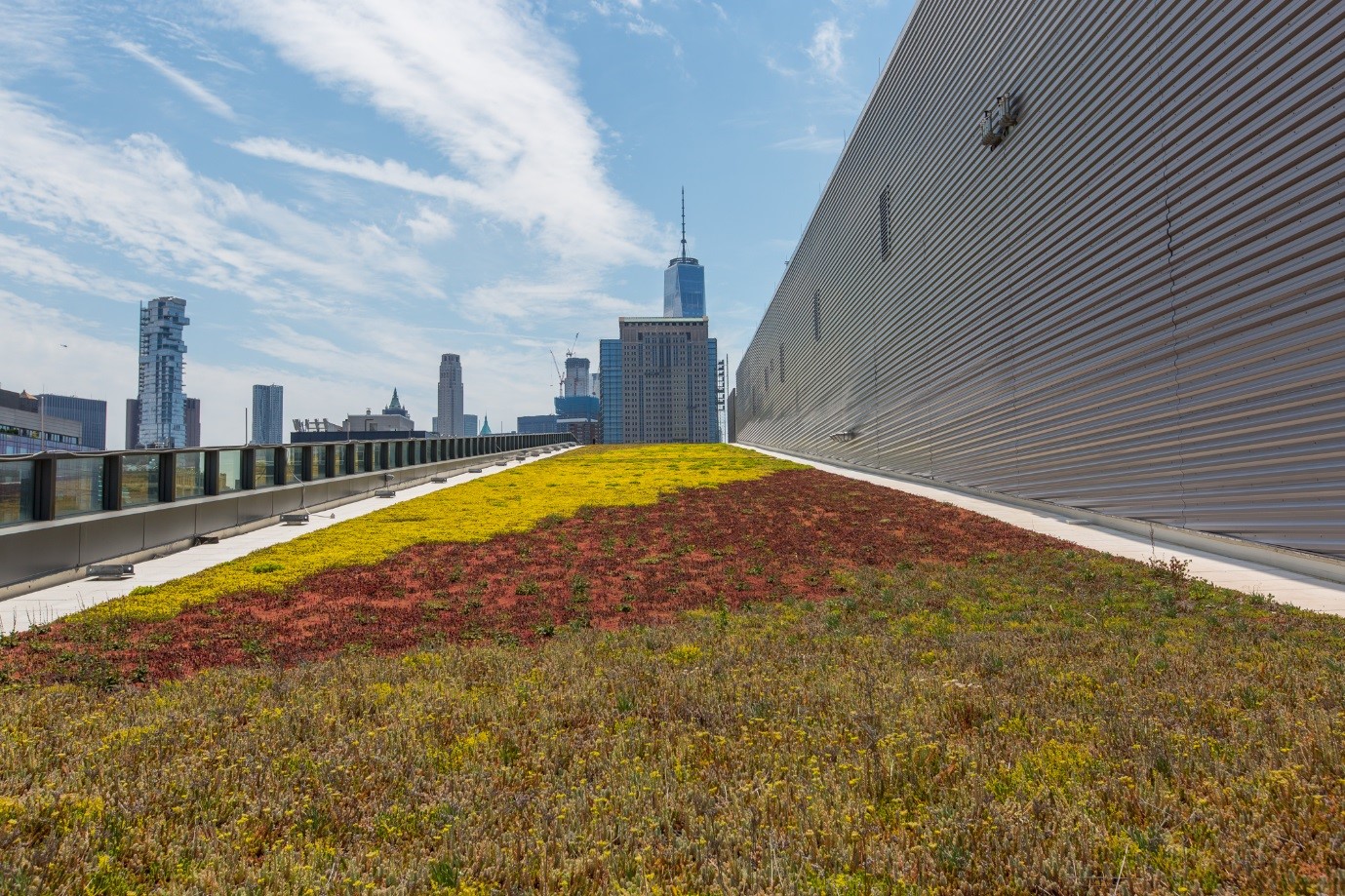 The green roof at the M 1/2/5 Sanitation Garage