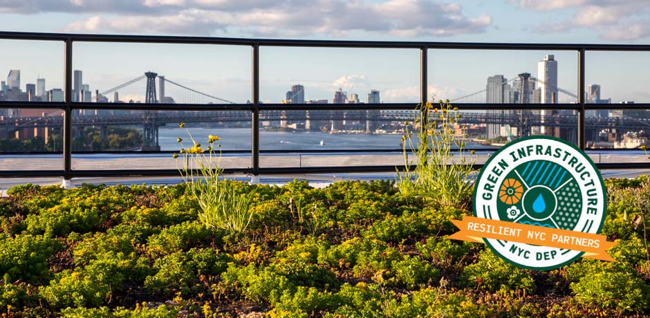 A green roof with the resilient nyc partners badge
                                           