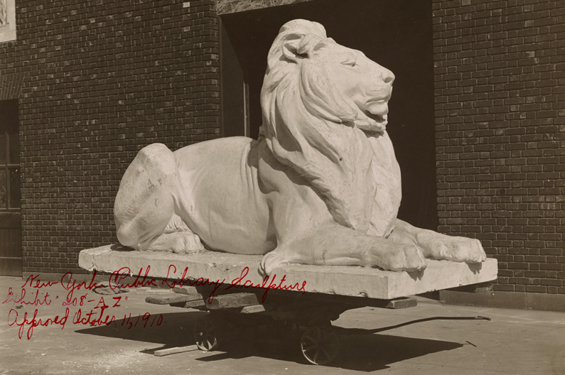 Lion sculpture by Edward Clark Potter for the Fifth Avenue entrance of the New York Public Library, Manhattan. Photograph by A. E. Sproul, 1910.