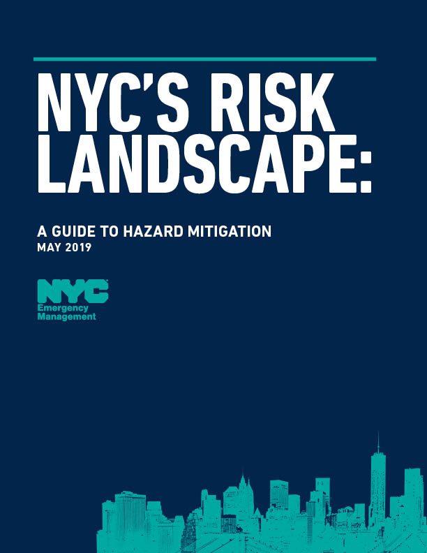 NYC Risk Landscape