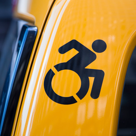 Logo for TLC Accessibility