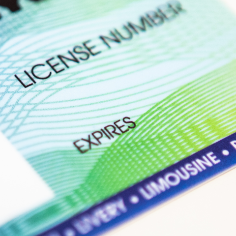Logo for TLC Driver License Status