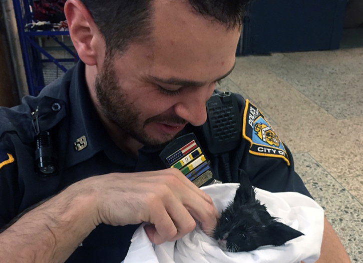 Officers from the 69 Precinct in Brooklyn save a kitten that was trapped inside a car engine