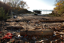 The Gravesend shoreline where body parts were discovered
