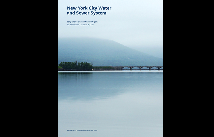 NYW FY2021 Annual Report Cover 
                                           