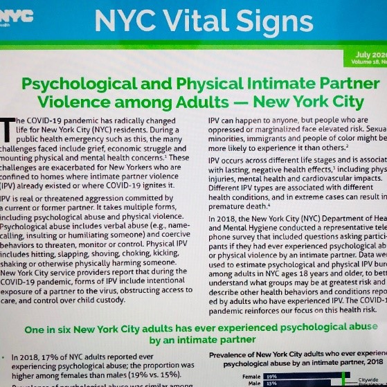Snapshot of NYC Vital Signs Newsletter