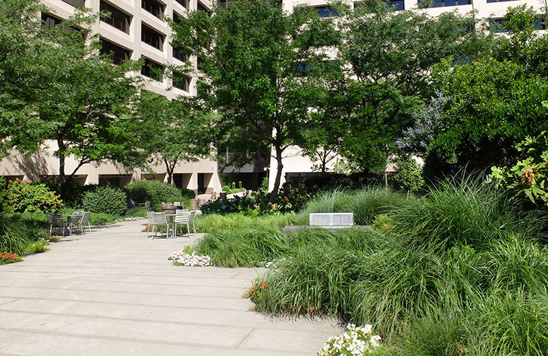 Abundant landscaping and ground cover