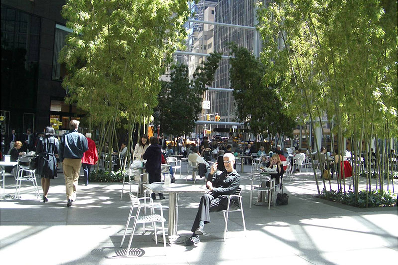 Privately Owned Public Space