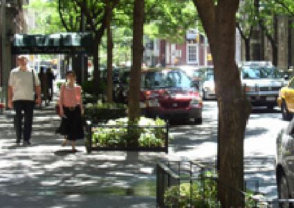 Street Tree Planting - Text Amendment 
