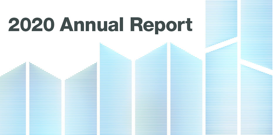 2020 Annual Report
                                           