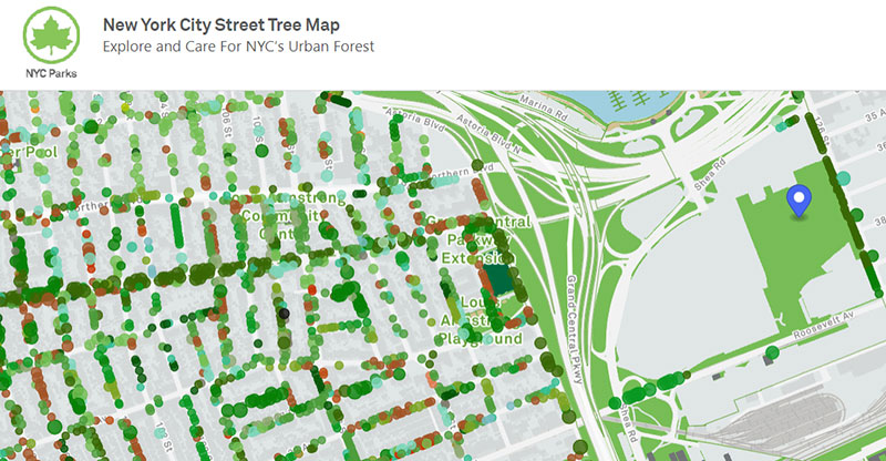 N Y C Street Tree Map