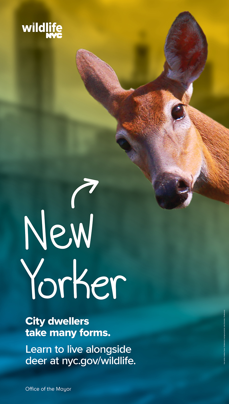 Deer LinkNYC Kiosk
