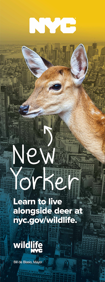 Street Pole Banner A, deer in front of city skyline with text that says learn to live alongside deer at nyc.gov/wildlife.