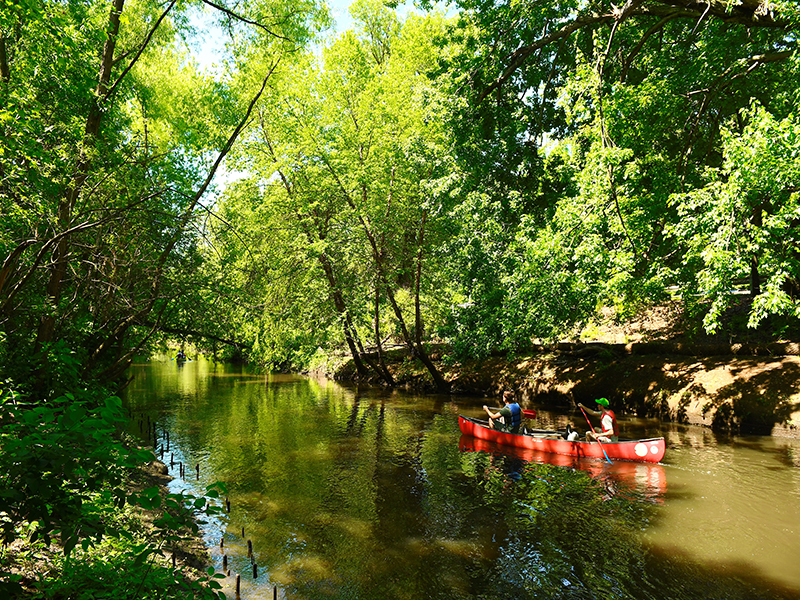 this photo shows two people in a canoe rowing down a river. The river is calm and either side of the river is full of trees and foliage. The sun is shining bright and the canoe is heading down the river from right to left with the river disappearing on the left side of the photo