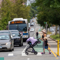 A woman and child push a stroller while walking in a crosswalk across Queens Blvd on a sunny day in Queens. Cars and an MTA bus are stopped at the intersection and a cyclists rides in a green bike approaching the intersection.